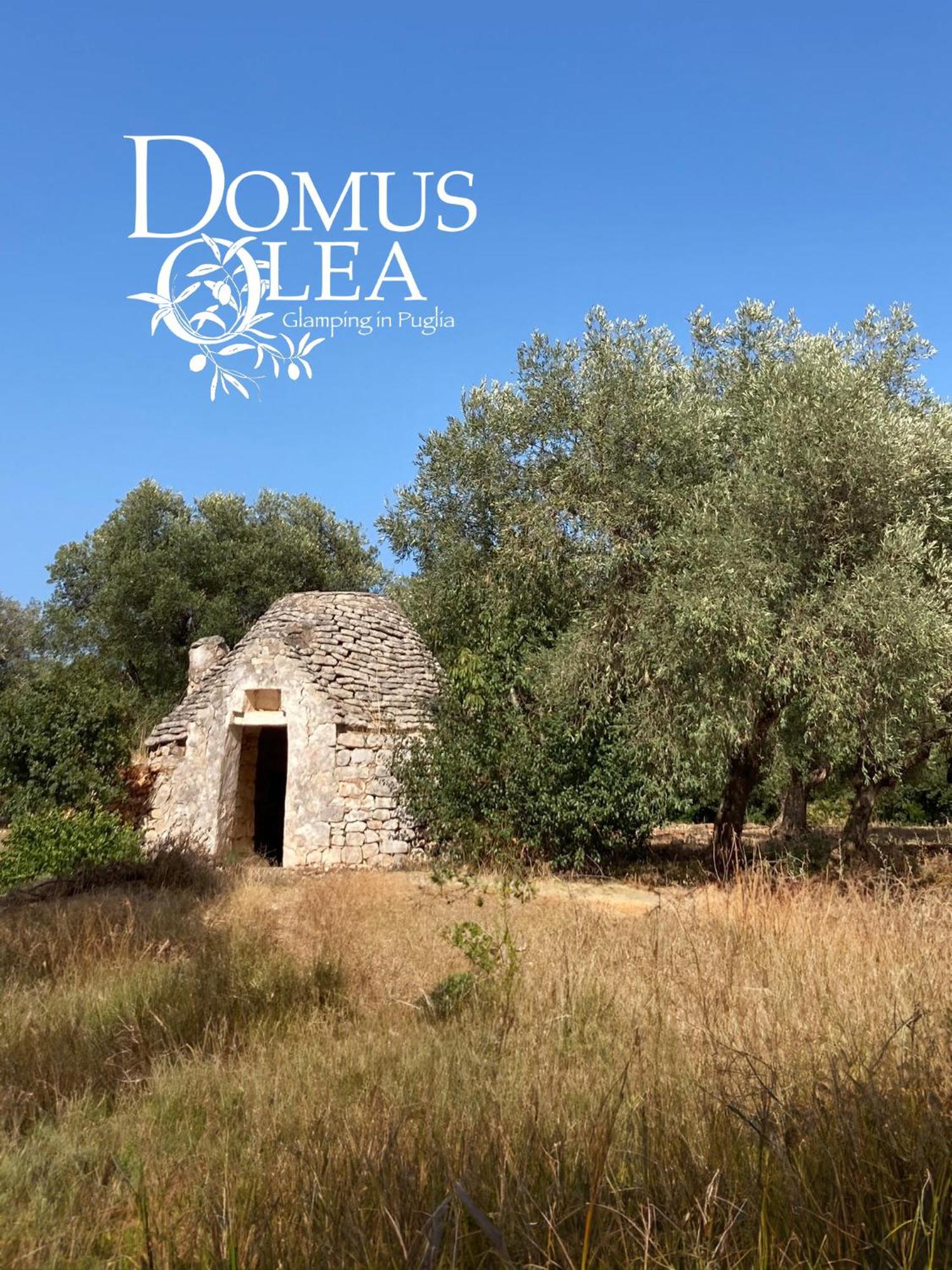 Hotel Domus Olea Glamping Ceglie Messapica Exteriér fotografie