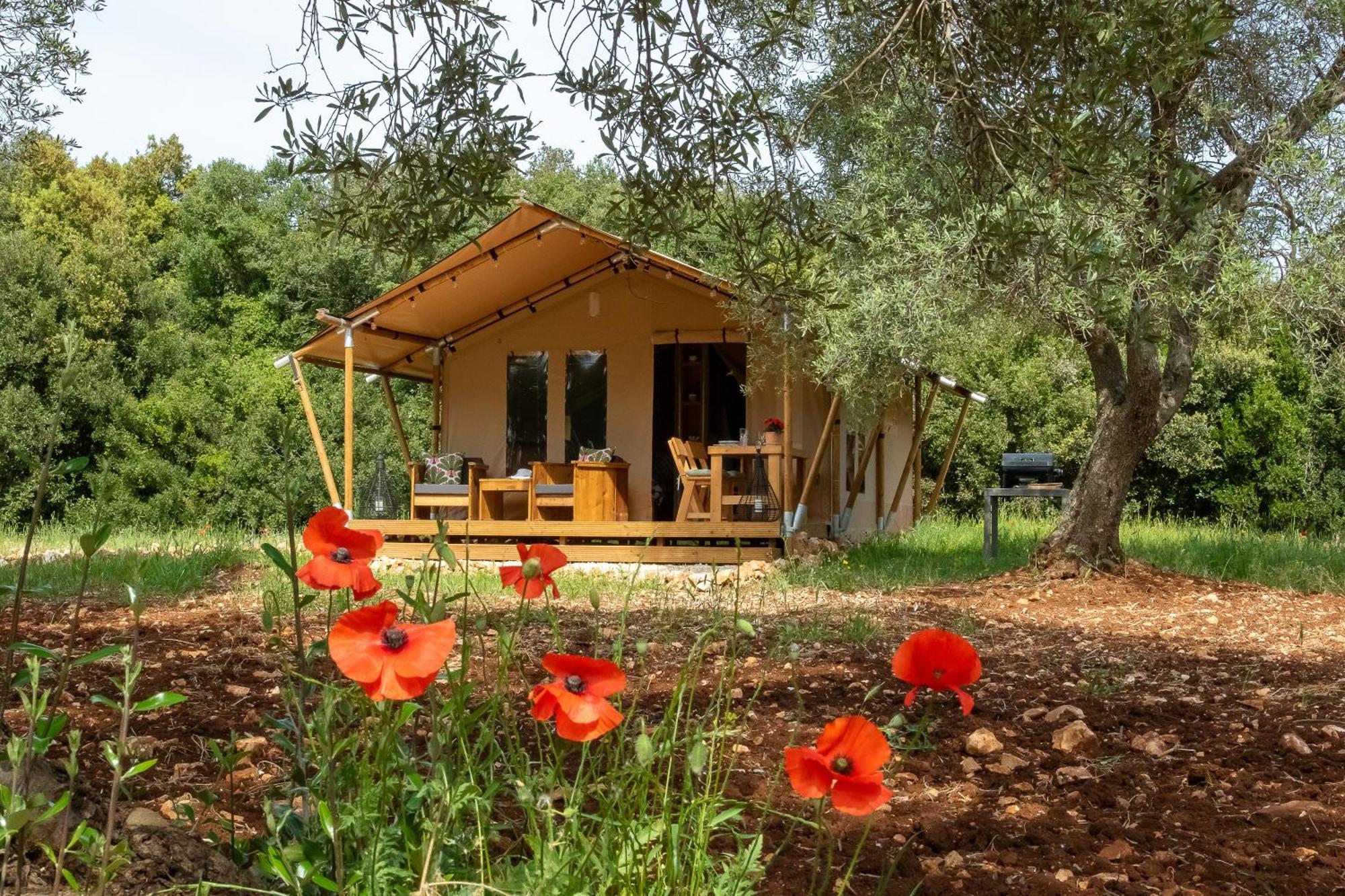 Hotel Domus Olea Glamping Ceglie Messapica Exteriér fotografie